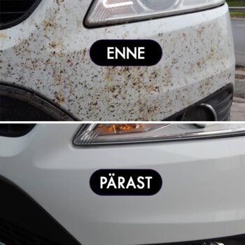 INSECT-REMOVER