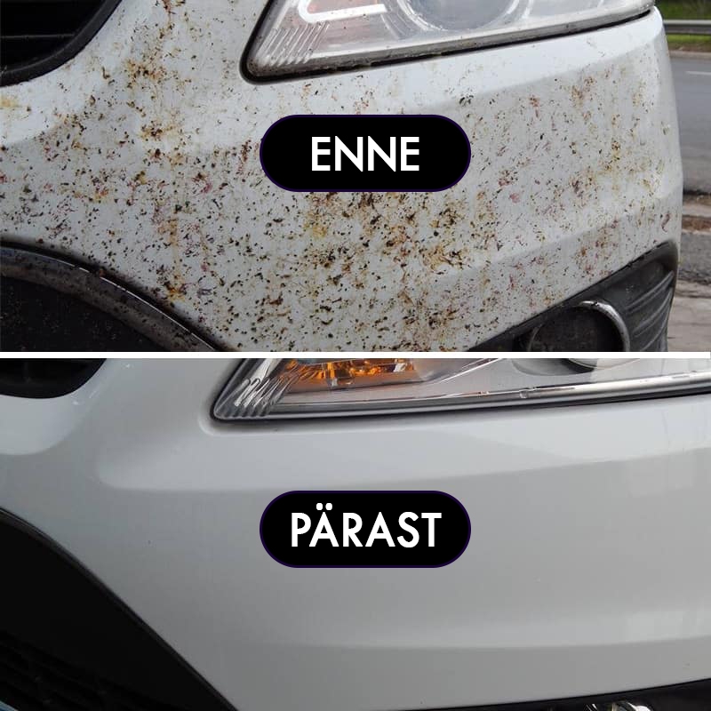 INSECT-REMOVER